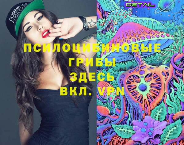дмт Нягань