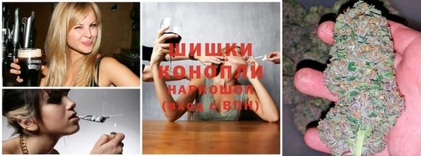 дмт Нягань
