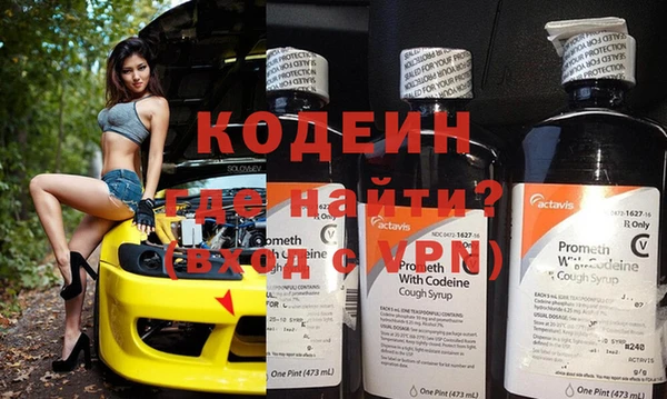 молекула духа Няндома