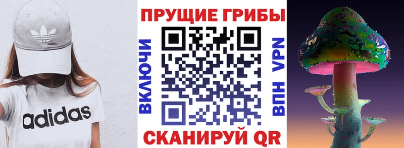Псилоцибиновые грибы GOLDEN TEACHER  Купить  Дедовск 